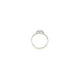 Amsterdam Ring