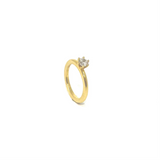 Basel Ring