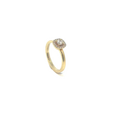Canberra Ring