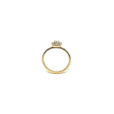 Canberra Ring