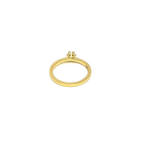 Marrakech Ring