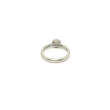 Las Vegas Ring