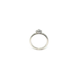 Las Vegas Ring