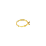 Marrakech Ring