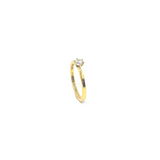 Marrakech Ring